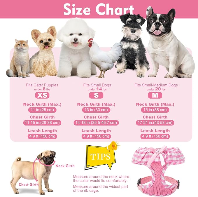 EXPAWLORER Step-in Dog Harness Small Sized and Leash Set | Cute Small Dog Harness No Pull Girl, Breathable Soft Mesh Padded, Adjustable Light Puppy Vest for Dogs Cats, Pink XS - Image 4