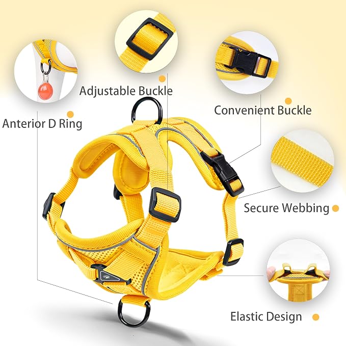 Dog Harness Medium Sized Dog Pet Vest with Leash Set Yellow XL | Adjustable Puppy Vest Harness, No Choke No Pull, Soft Padded, Step-in Dog Vest, Reflective Cat Harness, Breathable Air Mesh - Image 3