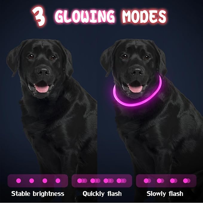 Frienda 4 Pcs LED Dog Collars, USB Rechargeable, Classic Style, 2 Colors | Dog Necklace Collars, Doggy Light Collar for Night Walking, Adjustable Safety Lamp Pet Collars for Large Medium Small Puppy - Image 3