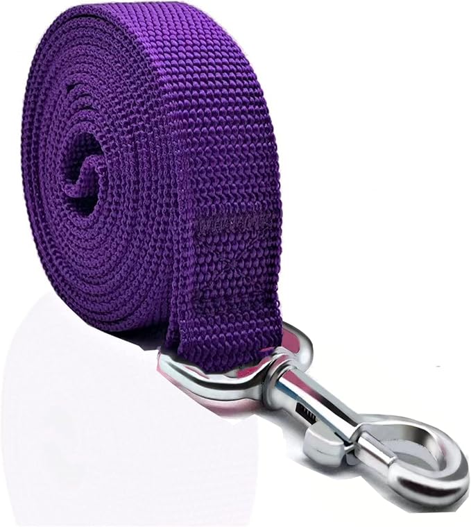 Nylon Dog Leash 4 Ft 5 Feet 6 Foot Long, Walking Training Dog Leashes for Medium Large Dogs, 1 Inch Wide (6ft, Purple) - Image 2