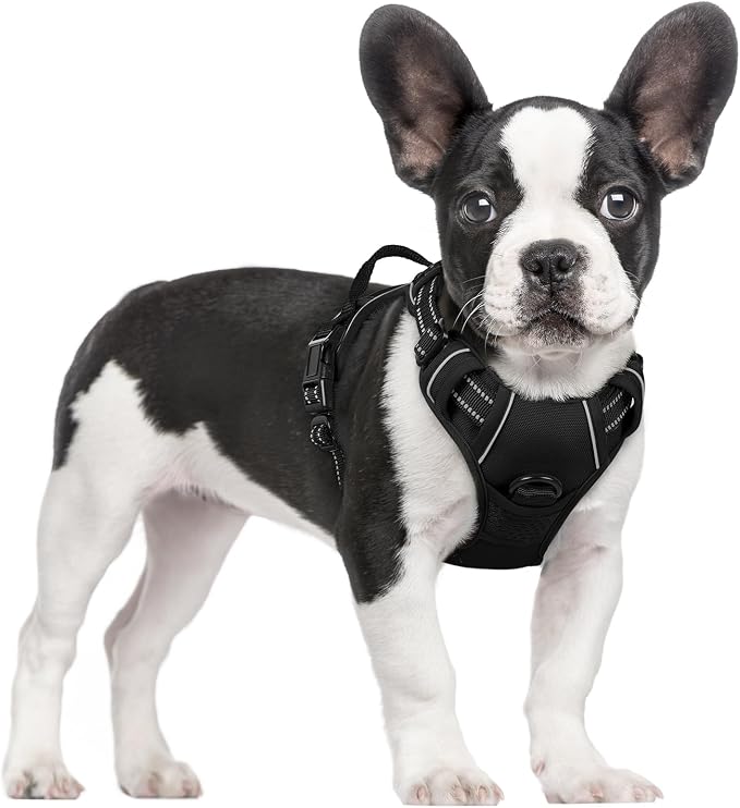 rabbitgoo Dog Harness, No Pull for Small Dogs with 2 Leash Clips, Pet Vest | No Choke with Handle, Adjustable Soft Padded, Reflective, Easy Control for Walking, Black, Small by rabbitgoo