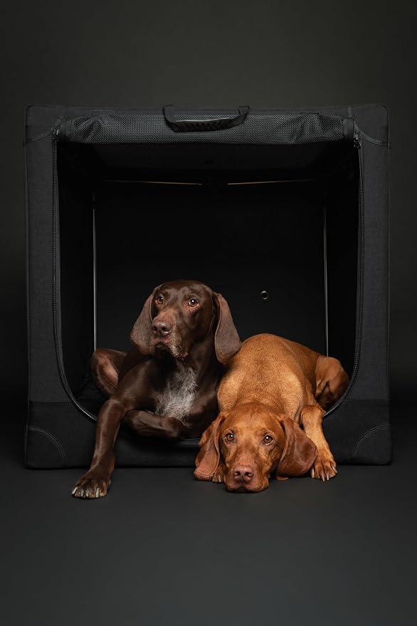 Noah & Paw Collapsible Dog Crate 36 Inches, XL Dog Crate for XL, Large Medium Breed, Travel Kennel for Car, Includes Pet Mat for Pet Cage, 2 Storage Pockets, Handbag, 10mm Locking Zippers 36*25*23 - Image 3
