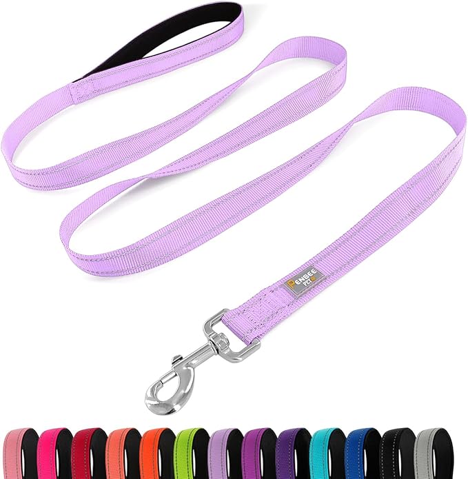 6 FT Basic Dog Leash for Small Dogs,Lavender | Padded Handle,Metal D-Ring,Heavy Duty Nylon Webbing, for Walking & Training by Penseepet