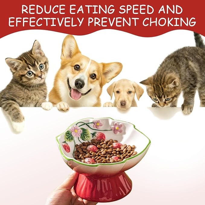 Ceramic Strawberry Raised Cat Bowl – Elevated Cat Food Bowl for Anti Vomit, Spine Protection & Whisker Friendly, Cute Tilted Bowl for Indoor Cats, Flat-Faced Cats (Red) - Image 5