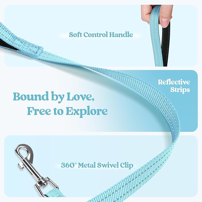 rabbitgoo Dog Harness Small Sized and Leash Set, Step-in Puppy Pet Vest | Light, Soft, Breathable Air Mesh, Easy on and Remove with Hook & Loop, Secure Reflective for Walking, Mint Blue S - Image 6