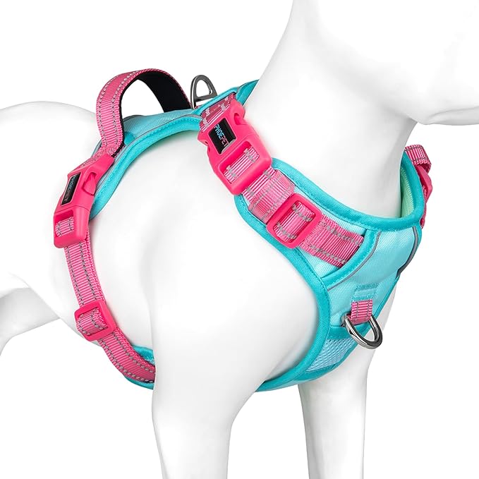 No Pull Dog Harness, Unique Colors Reflective Adjustable Dog Vest | with Soft Training Handle Metal Clips for Small Medium Large Dogs (Mint Green Base & Pink Straps,S) by PHOEPET