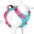 No Pull Dog Harness, Unique Colors Reflective Adjustable Dog Vest | with Soft Training Handle Metal Clips for Small Medium Large Dogs (Mint Green Base & Pink Straps,S) by PHOEPET