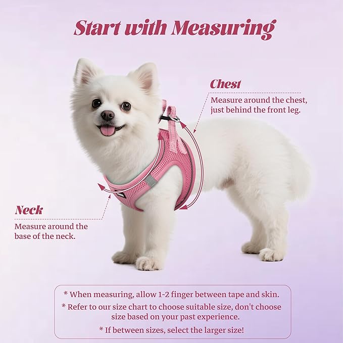 YIMEIS Dog Harness and Leash Set, No Pull Soft Mesh Pet Harness, Reflective Adjustable Puppy Vest for Small Medium Large Dogs, Cats (Pink, Small (Pack of 1) - Image 2
