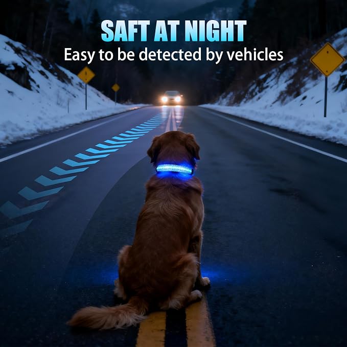 LED AirTag Dog Collar - Brightest Light Up Dog Collars, Daisy L | IP68 Waterproof Air Tag Dog Collar Holder, 1,600 Feet of High Visibility, Magnetic Charging, Dog Lights for Night Walking - Image 6
