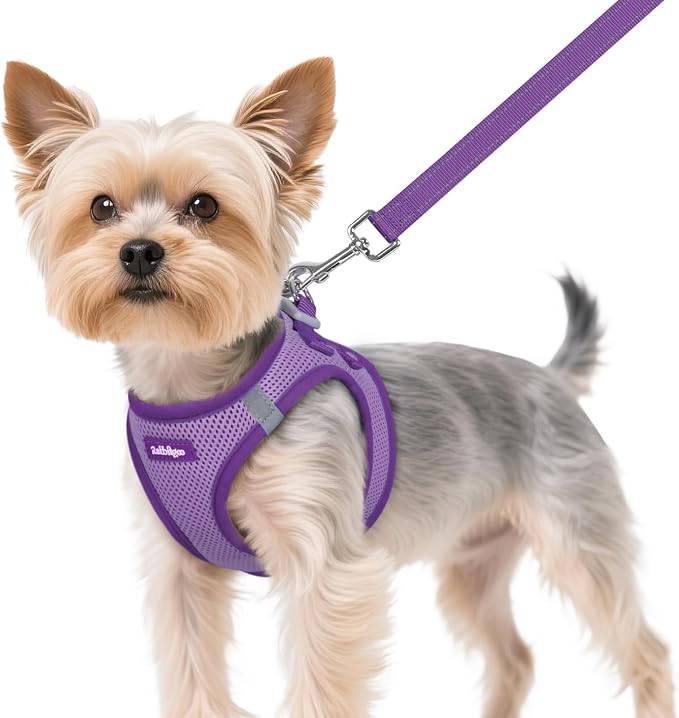 rabbitgoo Dog Harness Small Sized and Leash Set, Step in Soft Vest | Breathable Mesh, Easy Wear with Hook & Loop, Light and Reflective for Walking, Multi-colored, Light Purple & Purple, XS by rabbitgoo