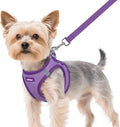 rabbitgoo Dog Harness Small Sized and Leash Set, Step in Soft Vest | Breathable Mesh, Easy Wear with Hook & Loop, Light and Reflective for Walking, Multi-colored, Light Purple & Purple, XS by rabbitgoo