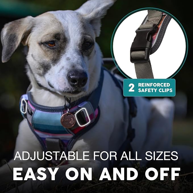 Embark No Pull Dog Harness, Reflective Adjustable Training Vest, No Choke | Adjustable straps fit all dog breeds with sturdy hooks; 360° reflective trim, soft padded Harness Design for All Dogs - Image 3