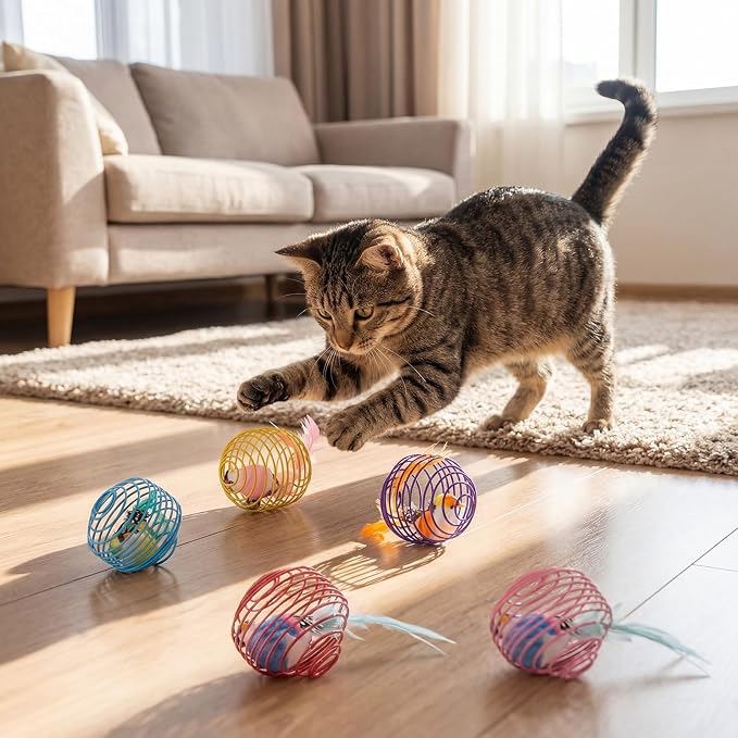 Jecery 5 Pcs Cat Toys Spring,Bird,Multicolor | Interactive Metal Cat Toy, Stretchable Rolling Ball, for Indoor Cats, Colorful Playful Coils, Kitten Pet Supplies - Image 4