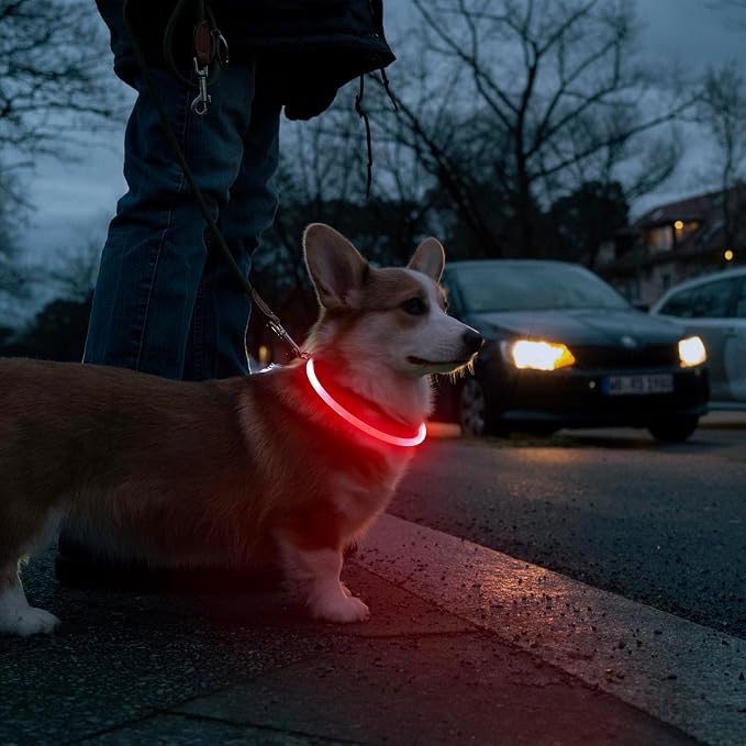 HIGO LED Dog Collar Light - USB Rechargeable Light Up Dog Collars, DIY Flash LED Dog Necklace for Your Dogs Walking at Night (Red) - Image 6