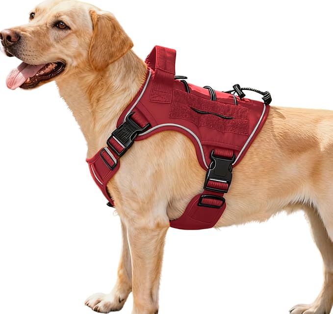 Heavy-Duty Tactical Dog Harness for Large Dogs, No Pull Adjustable Reflective Pet Vest with Molle System, K9 Military-Grade Control for Service Training, Outdoor & 10+ Breeds, Red, Medium by Bruvoalon
