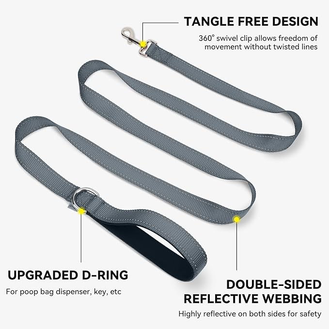 Joytale Reflective Dog Leash for Small Dogs, 4 FT x 3/4", Gray | Heavy Duty Nylon Webbing, Padded Handle for Comfort, Visible at Night, for Walking & Training - Image 5