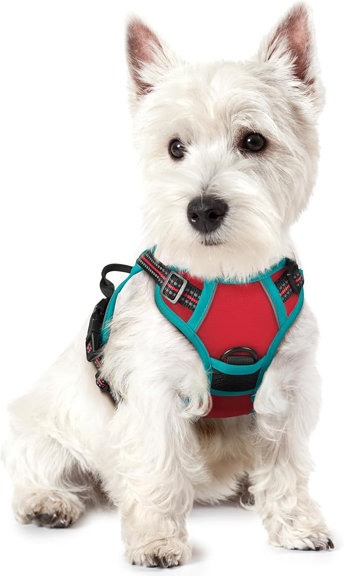 rabbitgoo Dog Harness, No Pull for Small Dogs with 2 Leash Clips, Pet Vest | No Choke with Handle, Adjustable Soft Padded, Reflective, Easy Control for Walking, Red & Teal, X-Small by rabbitgoo