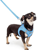 rabbitgoo Dog Harness Small Sized and Leash Set, Step-in Puppy Pet Vest | Light, Soft, Breathable Air Mesh, Easy on and Remove with Hook & Loop, Secure Reflective for Walking, Blue XXXS by rabbitgoo