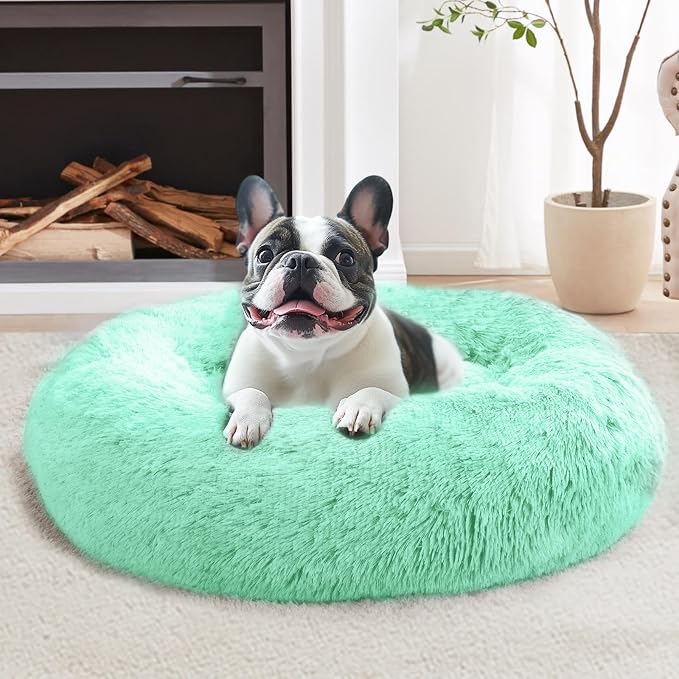 JOLLYVOGUE Calming Small Dog & Cat Bed for Indoor Cats - 20 inches Washable Donut Bed for Kittens & Puppies, Anti-Anxiety Round Fluffy Plush Pet Beds (Fits up to 15 lbs, Mint Green) by JOLLYVOGUE