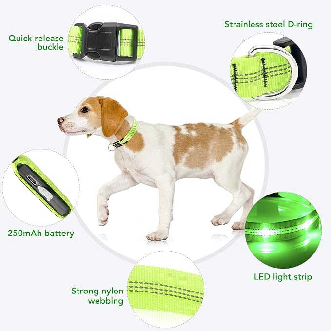 Weesiber Light Up Dog Collars - Rechargeable LED Collar - Reflective Adjustable Dog Lights for Night Walking (Green, Small) - Image 3