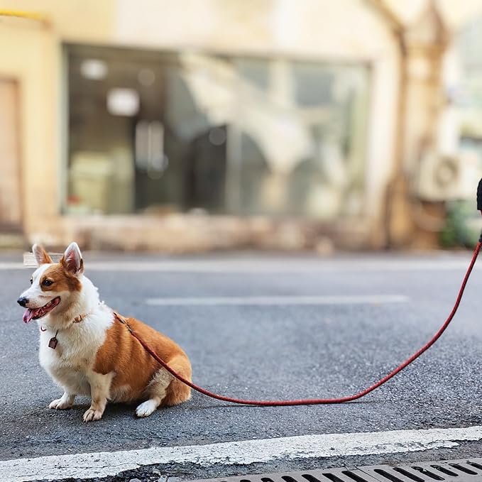MayPaw Heavy Duty Rope Dog Leash, 3/4/5/6/7/8/10/12/15 FT Nylon Pet Leash, Soft Padded Handle Thick Lead Leashes for Large Medium Dogs (red Black, 1/2" * 8') - Image 5