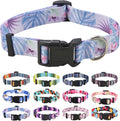Mihqy Dog Collar for Small Dogs Puppy Cats, Purple Flower,XS | Neck Fit 7.9"-11.8", Multiple Patterns，4 Sizes for Small Medium Large Dogs, Comfortable for Walks and Outdoor Hikes by Mihqy