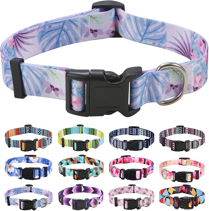 Mihqy Dog Collar for Small Dogs Puppy Cats, Purple Flower,XS | Neck Fit 7.9"-11.8", Multiple Patterns，4 Sizes for Small Medium Large Dogs, Comfortable for Walks and Outdoor Hikes by Mihqy