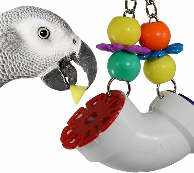 Super Bird Creations SB751 PVC Forager Bird Toy, Medium/Large Bird Size, 3” x 5” x 8” by SuperBirdCreations