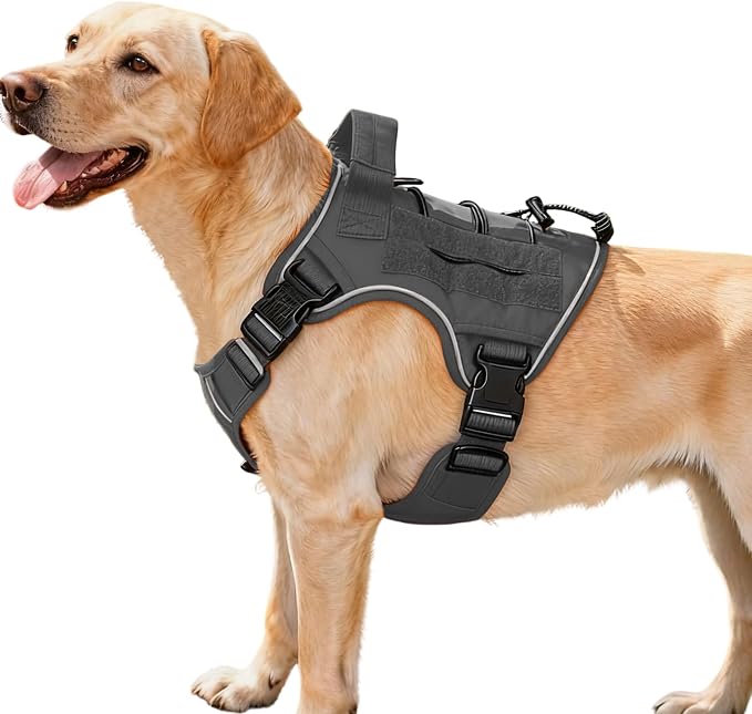 Heavy-Duty Tactical Dog Harness for Large Dogs, No Pull Adjustable Reflective Pet Vest with Molle System, K9 Military-Grade Control for Service Training, Outdoor & 10+ Breeds, Gray, Medium by Bruvoalon