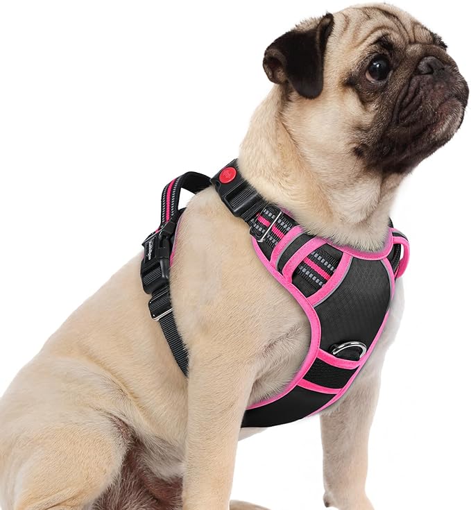 rabbitgoo Dog Harness Small Sized, No Pull 3 Buckles Easy On & Off | Soft Padded, Walking with Control Handle, Adjustable and Reflective, Black & Pink, Small by rabbitgoo