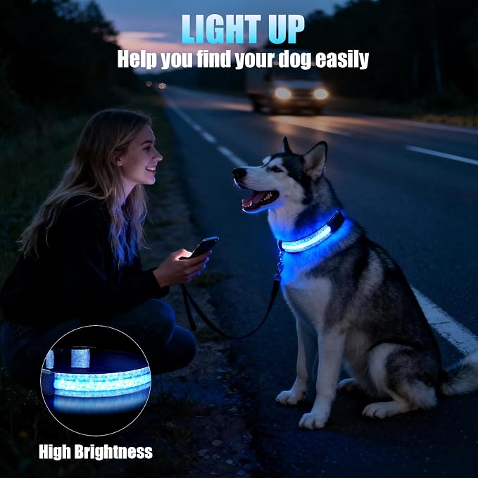 LED Dog Collar Rechargeable, Brightest Light Up Dog Collars, Daisy M | 1,600 Feet of High Visibility, Magnetic Charging, Glow in Dark Dog, Nylon Materials, Lights for Night Walking - Image 4