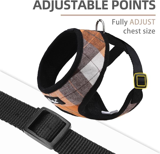 PUPTECK Small Dog Harness and Leash Set No Pull for XS XXS Sized Dogs Puppy | Escape Proof No Choke Pet Cat Adjustable Soft Padded Walking Vest - Image 2