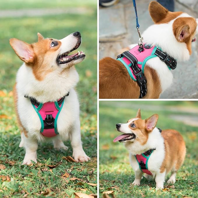 Upgraded No Pull Dog Harness, Reflective Adjustable Vest | with a Training Handle + 2 Metal Leash Hooks+ 3 Snap Buckles +4 Slide Buckles(XS, Pink) - Image 6