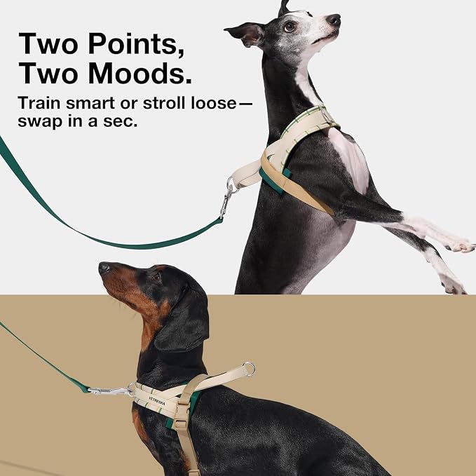 VETRESKA Dog Harness and Leash Set, Easy Walk Dog Harness, L | for Large Medium Dogs, No Pull Puppy Harness for Walking and Training, Adjustable, Anti-Twist Leash (Santal Forest) - Image 3