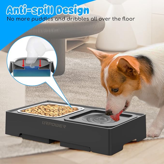 URPOWER 2-in-1 Elevated Dog Bowls 4 Height Adjustable Raised Dog Bowls | Stainless Steel Food Bowl with No Spill Water Bowl and Non-Slip Stand for Small Medium Large Dogs - Image 4