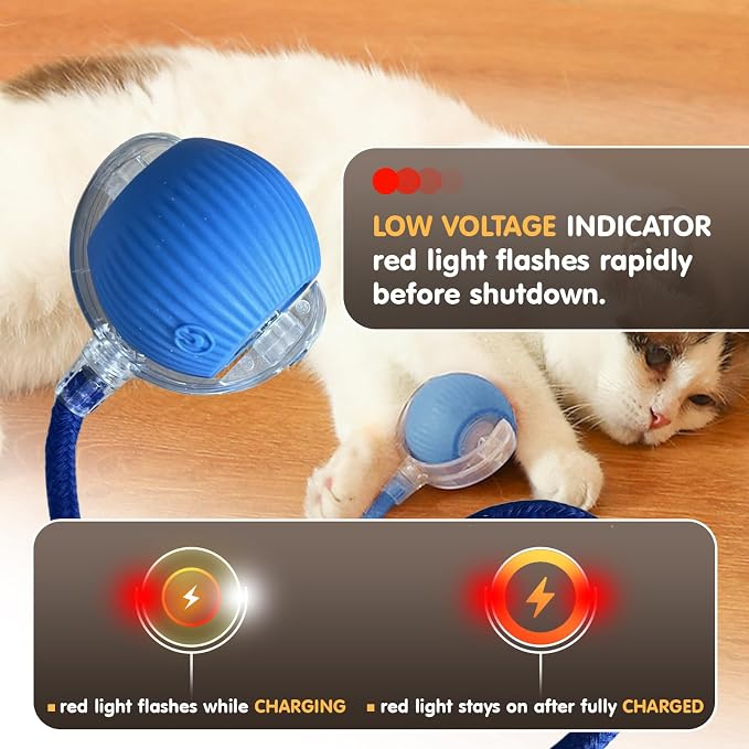 Rocfish Durable Interactive Cat Toys for Indoor Cats (Blue, 01) | Smart Automatic Cat Chase Ball Toy, Upgraded Speedy Tail Kitten Toy for Bored Indoor Adult Pets - Image 7