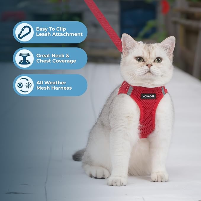 Voyager Step-in Air Cat Harness & Leash Set - Red, S | 14 - 16" in Chest, Reflective Bands, All Weather Breathable Air Mesh, Cats Compatible, Fast Drying - Image 6