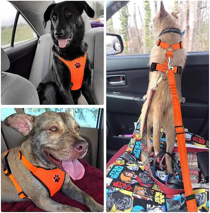Lukovee Dog Car Harness Seat Belt, Harness & Seatbelt with 2 in 1 Buckle | Adjustable Soft Breathable Mesh Harness, Reflective Elastic Reflective Tether, for Small Medium Large Dogs Pets (Orange, L) - Image 9