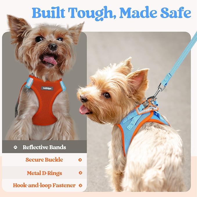 rabbitgoo Dog Harness Medium Sized and Leash Set, Step-in Puppy Pet Vest | Light, Soft, Breathable Air Mesh, Easy on and Remove with Hook & Loop, Secure Reflective for Walking, Blue & Orange XXL - Image 7