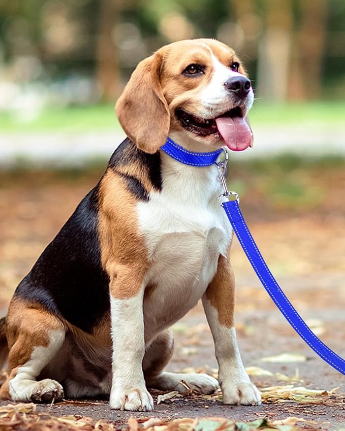 Taglory Reflective Dog Leash for Small Dogs, 3/4in x 4ft, Navy Blue | Ideal for Night Walking, Strong for Sudden Pulls, Lightweight & Gentle on the Neck, Soft Padded Handle - Image 6