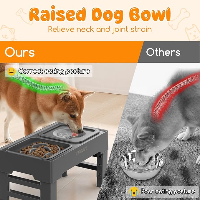 URPOWER 2-in-1 Elevated Slow Feeder Dog Bowls with No-Spill Water Bowl | 4 Height-Adjustable Raised Dog Bowls, Non-Slip Food and Water Bowls with Stand for Small, Medium, Large Dogs, Cats and Pets - Image 3