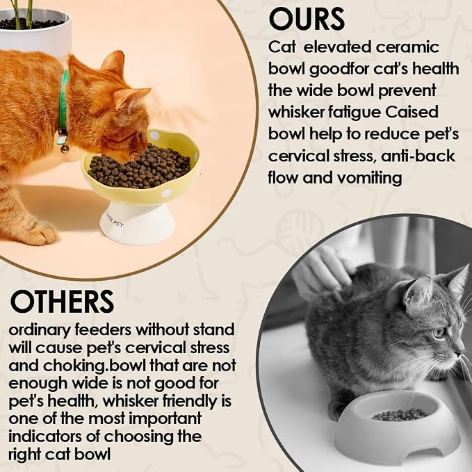 Black Mushroom Cat Bowl, Elevated Ceramic Bowl for Cats | Elevated, Ceramic, Whisker Friendly, Anti Vomitin,Cute Mushroom Design - Image 6