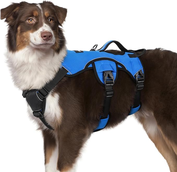 rabbitgoo Escape Proof Dog Harness for Medium, No Pull with Lift Handle | No Escape, Full Soft Padded, Reflective Adjustable Vest, Leash Clip for Walking Hiking Training, Blue, Medium by rabbitgoo