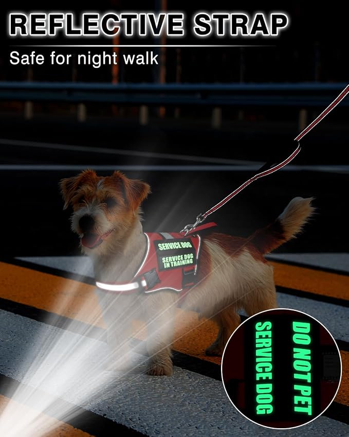 Service Dog Vest Harness and Leash Set+10 Patches Red XS | Adjustable Reflective Do Not Pet Emotional Support Dog Vest with 2 Soft Padded Handle,MOLLE,for Everyday Training Hiking - Image 5