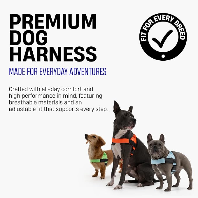 Dog Friendly Co. Dog Harness for Medium Sized Dogs (Grey Camo, Medium) | One Click Buckle, Chafe Resistant Webbing, Adjustable Neck & Chest, and Heavy Duty D-Ring, Sturdy Comfortable and Easy to Use - Image 3