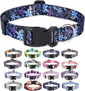 Mihqy Dog Collar for Small Dogs Puppy Cats,Fashion Design, Floral Blue,XS | Neck Fit 7.9"-11.8", Multiple Patterns，4 Sizes for Small Medium Large Dogs, Comfortable for Walks and Outdoor Hikes by Mihqy