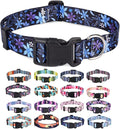 Mihqy Dog Collar for Medium Dogs, Fashion Design, Floral Blue,M | Neck Fit 12.9"-21.6", Multiple Patterns，4 Sizes for Small Medium Large Dogs, Comfortable for Walks and Outdoor Hikes by Mihqy