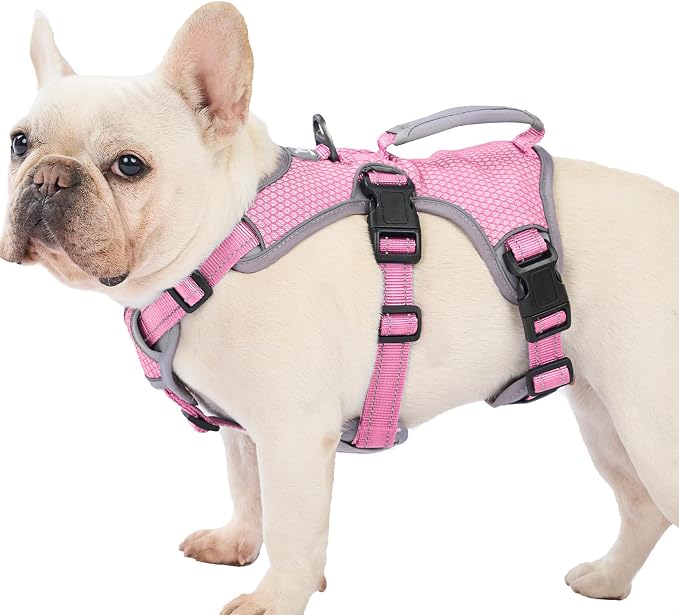 Escape Proof Dog Harness, Dachshund Harness, Reflective Dog Harness with Handle, Durable,Adjustable Vest for Small Medium Large Dogs Walking, Training, and Running Gear (Pink,M) by Huntboo