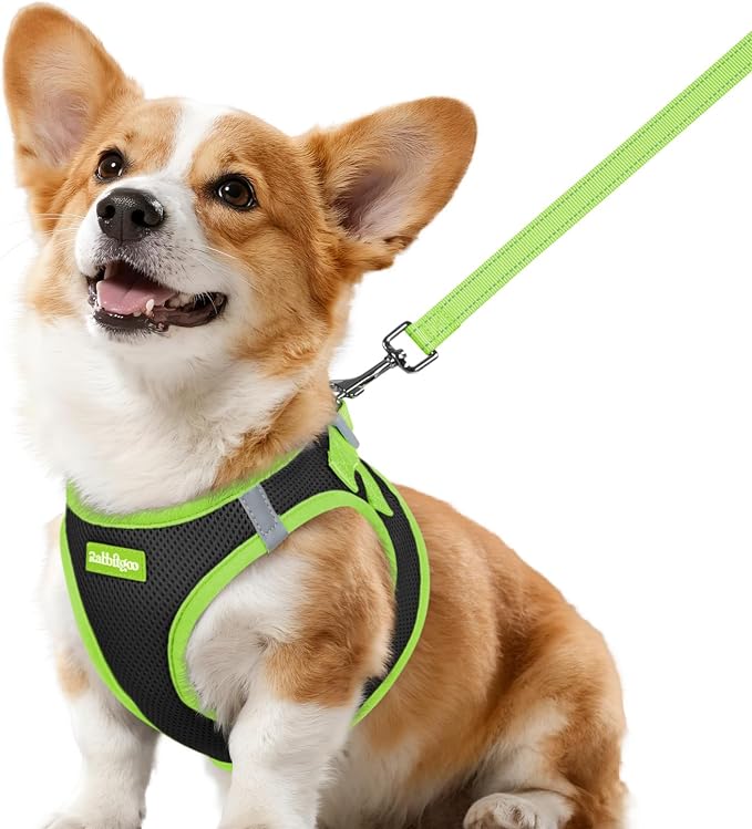rabbitgoo Dog Harness Small Sized and Leash Set, Step in Soft Vest | Breathable Mesh, Easy Wear with Hook & Loop, Light and Reflective for Walking, Multi-colored, Black & Green, L by rabbitgoo