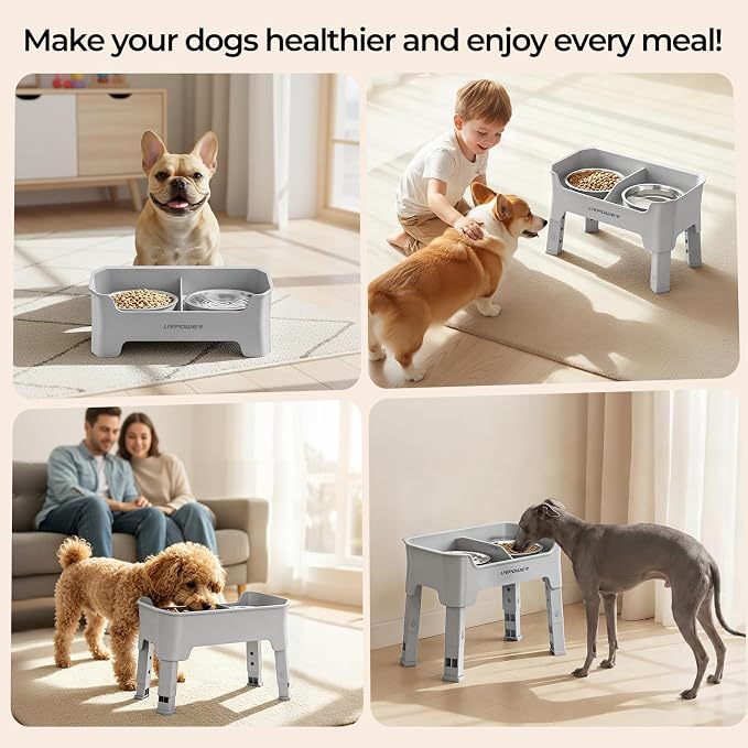 URPOWER Mess Proof Elevated Dog Bowls, Splash Guard Raised Bowl Stand | 4 Adjustable Heights, 2 Stainless Steel Bowls, Food & Water Separation, Non-Slip Base, Foldable Design for Small Dogs - Image 7
